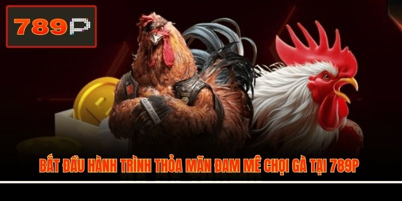 Bắt đầu hành trình thỏa mãn đam mê chọi gà tại 789P