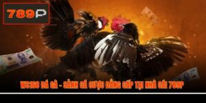 WS168 Đá Gà - Sảnh Cá Cược Đẳng Cấp Tại Nhà Cái 789P